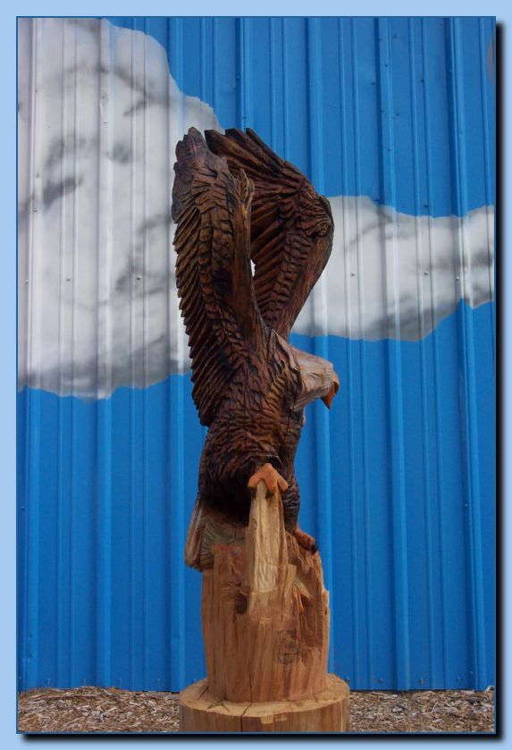 2-05 eagle with wings up, attached-archive-0006